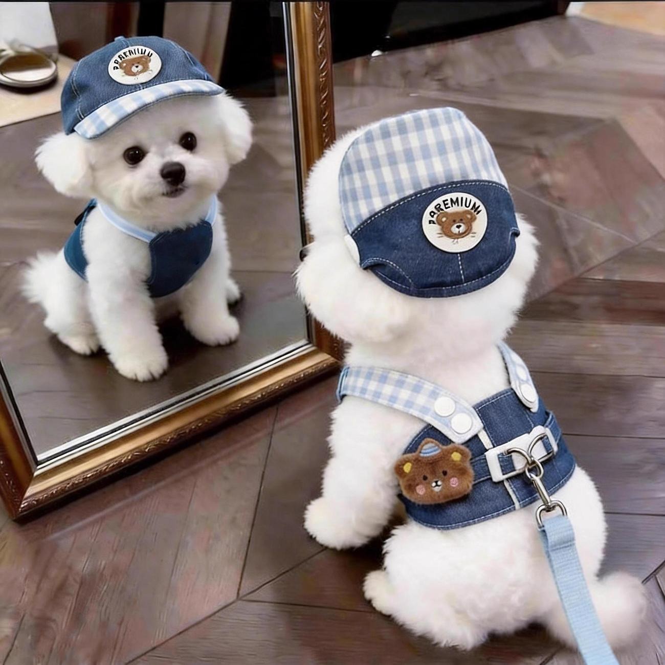 犬服